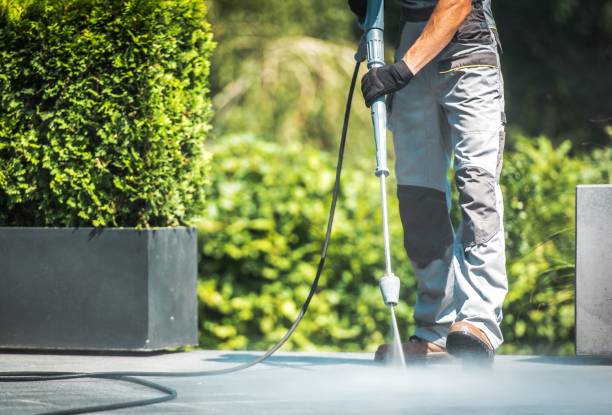 Best Driveway Pressure Washing  in Granger, IN